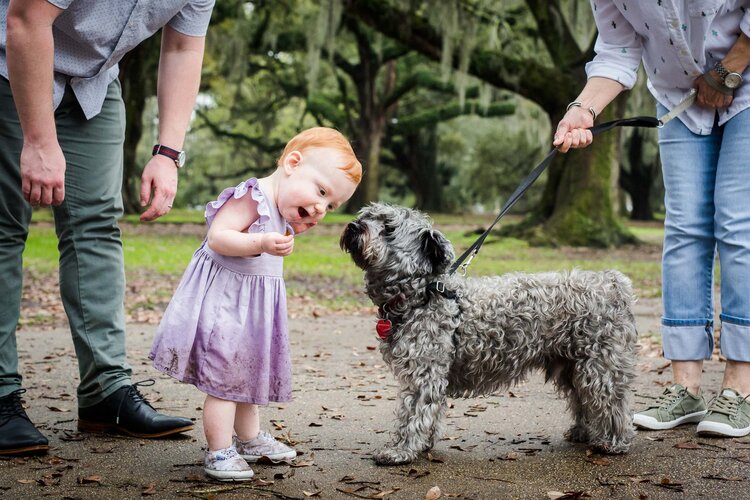 toddler in purple dress greeting a dog